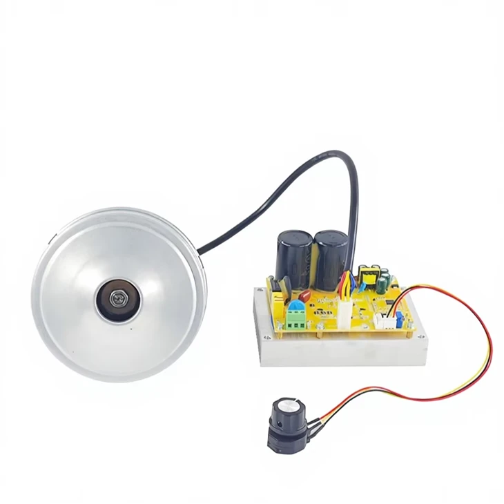 230V 5.1 Inch High Power BLDC Vacuum Motor 800W/1000W high quality