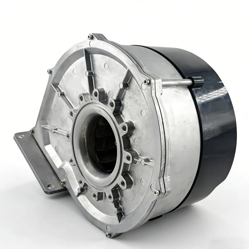 product-800-800 product-800-800